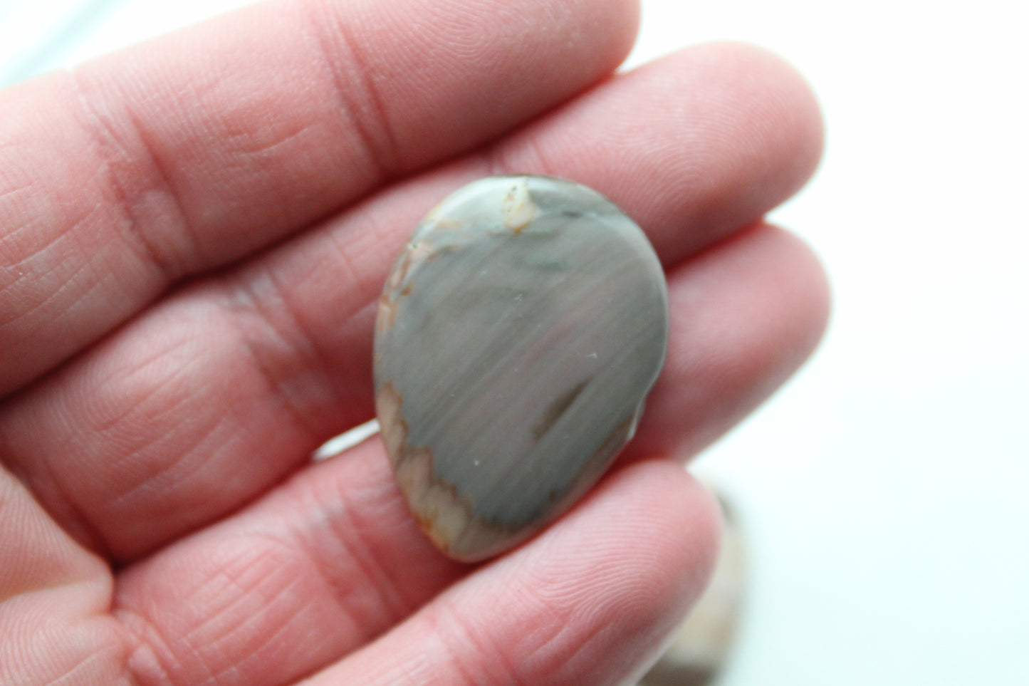 Fossil Palmwood Pair Cabochon Gemstone with druzy pockets Oval