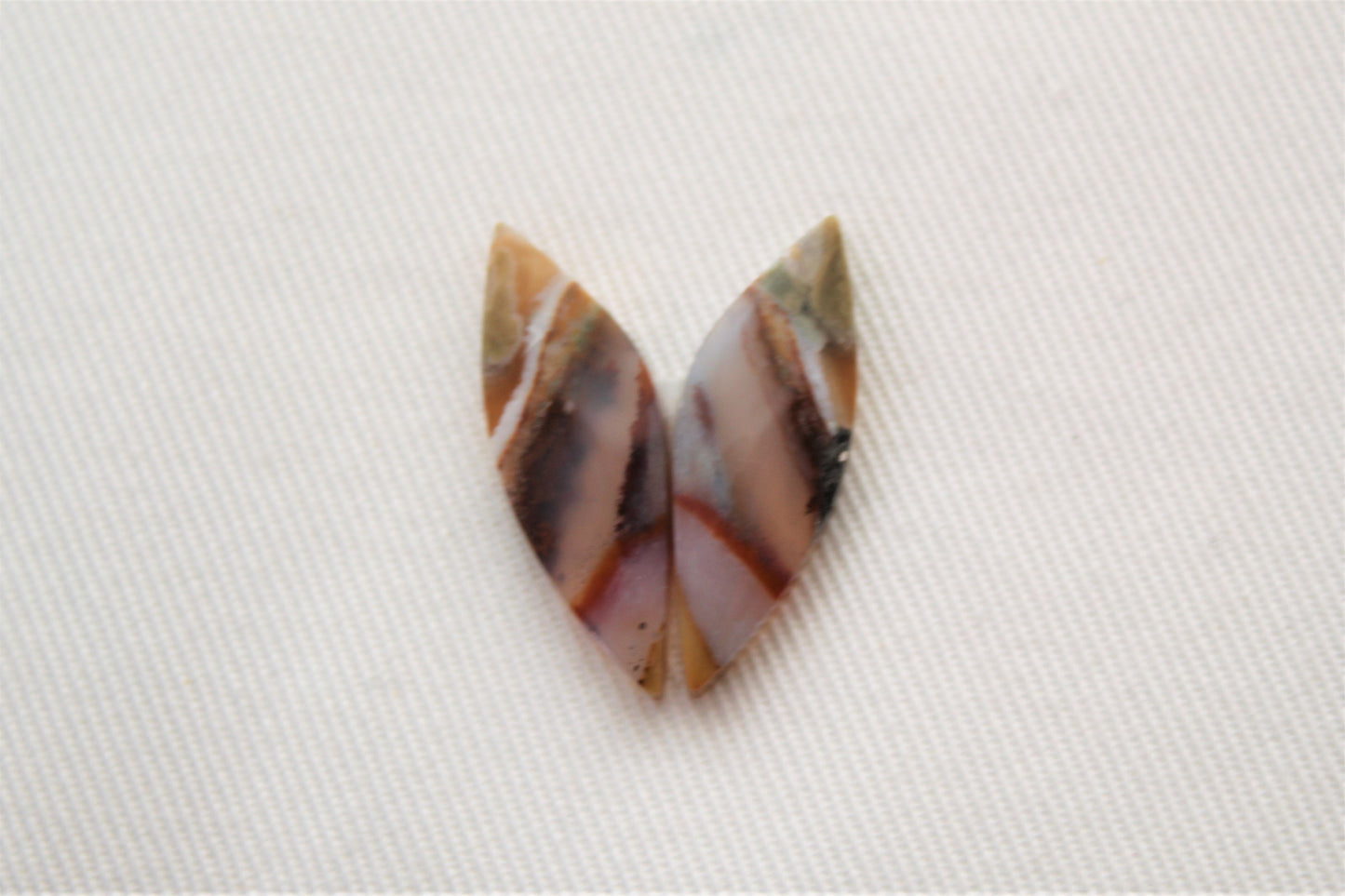 Nice small pair of Opalized Wood Cabochons