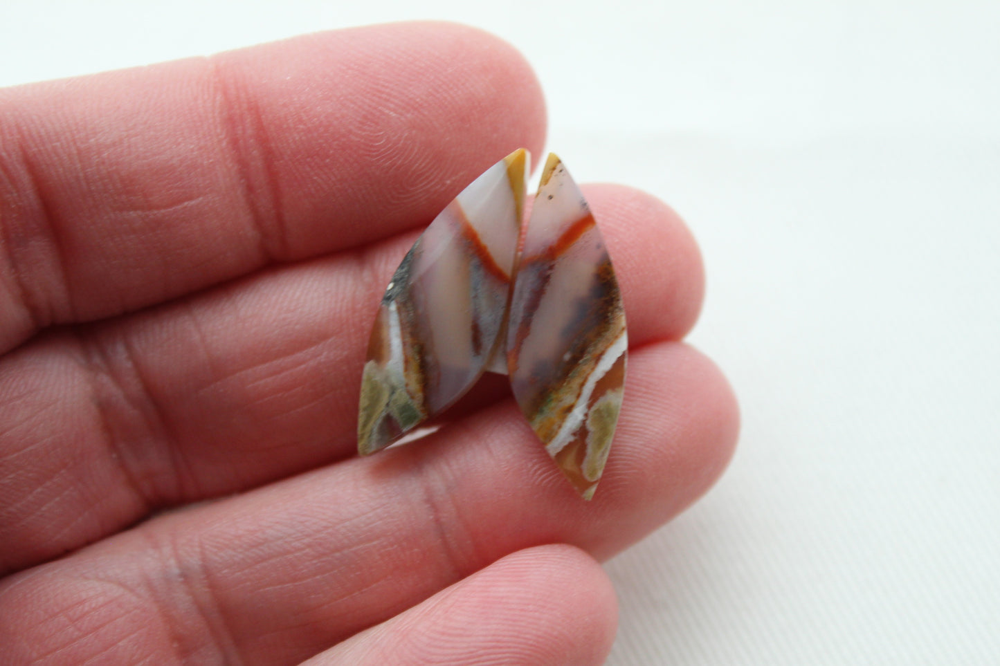 Nice small pair of Opalized Wood Cabochons