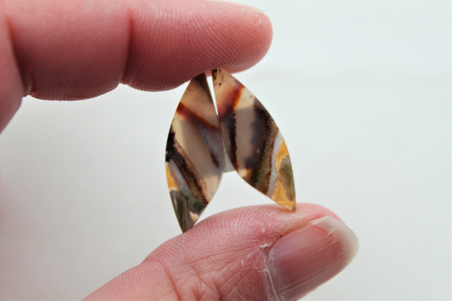 Nice small pair of Opalized Wood Cabochons