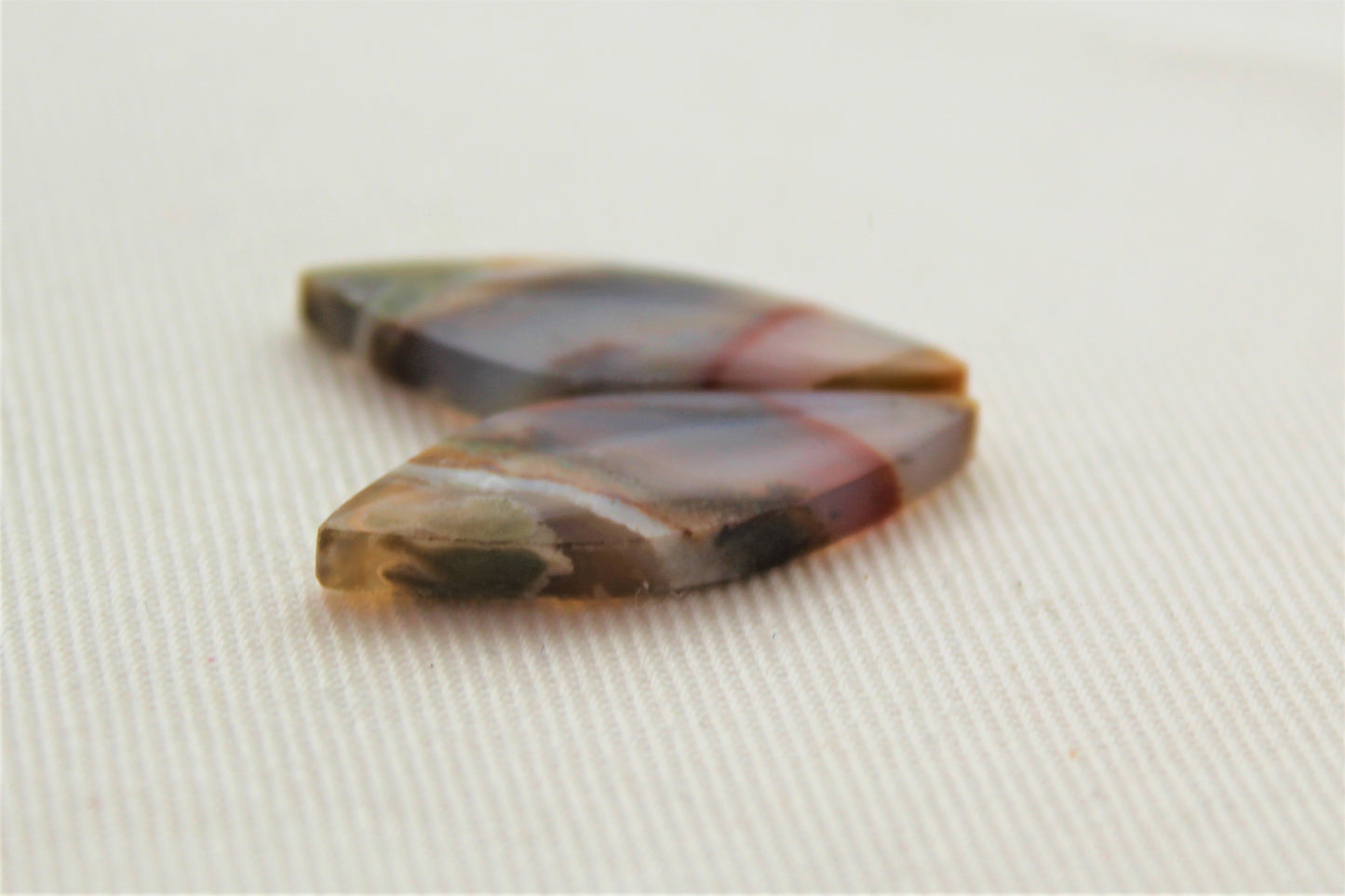 Nice small pair of Opalized Wood Cabochons