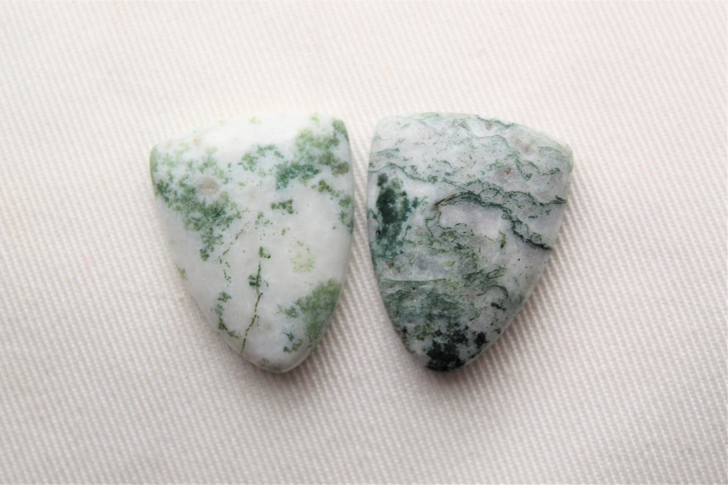 TWO Tree Agate Cabochon vert blanc bouclier forme pierre précieuse