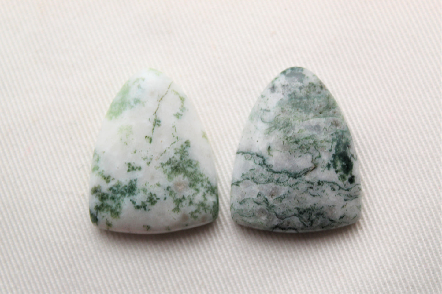 TWO Tree Agate Cabochon vert blanc bouclier forme pierre précieuse