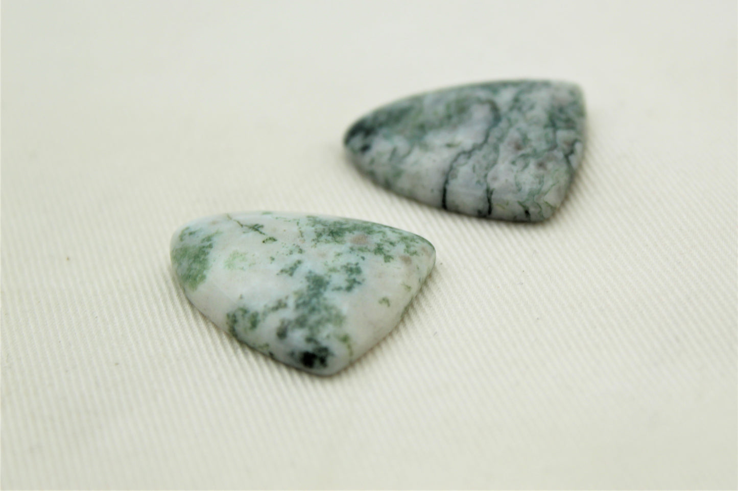 TWO Tree Agate Cabochon vert blanc bouclier forme pierre précieuse