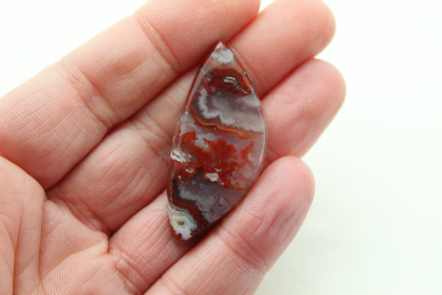 Fossil Palmwood Pair Cabochon Gemstone with druzy pockets Oval
