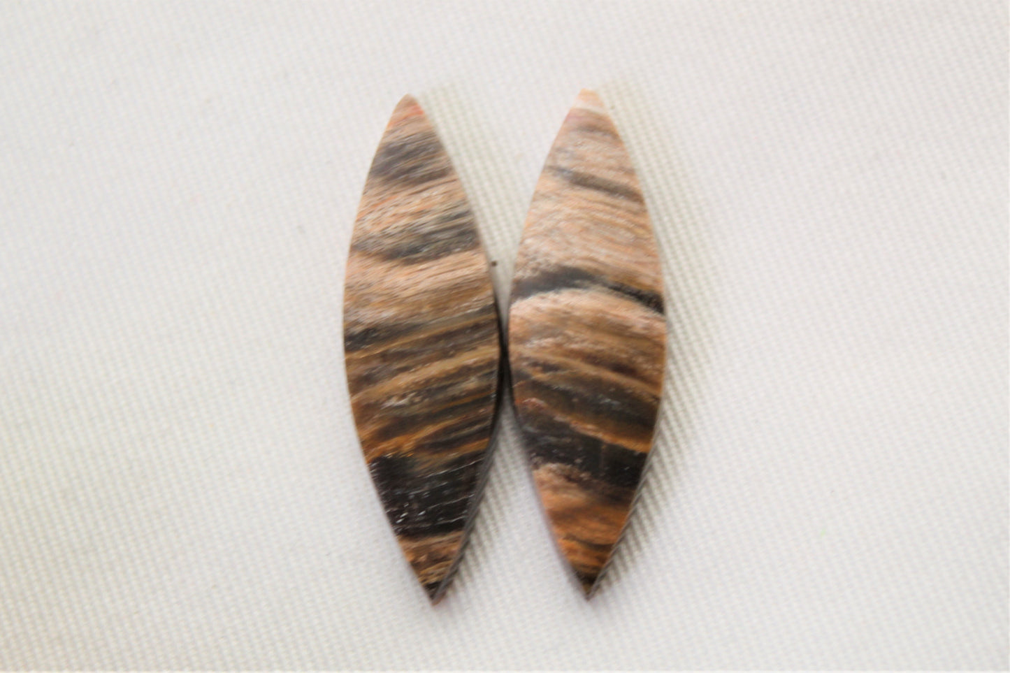 Jolie paire de cabochons en bois pétrifié ovale