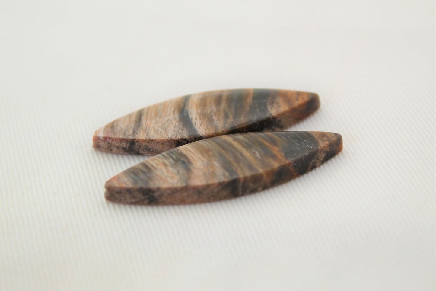 Jolie paire de cabochons en bois pétrifié ovale