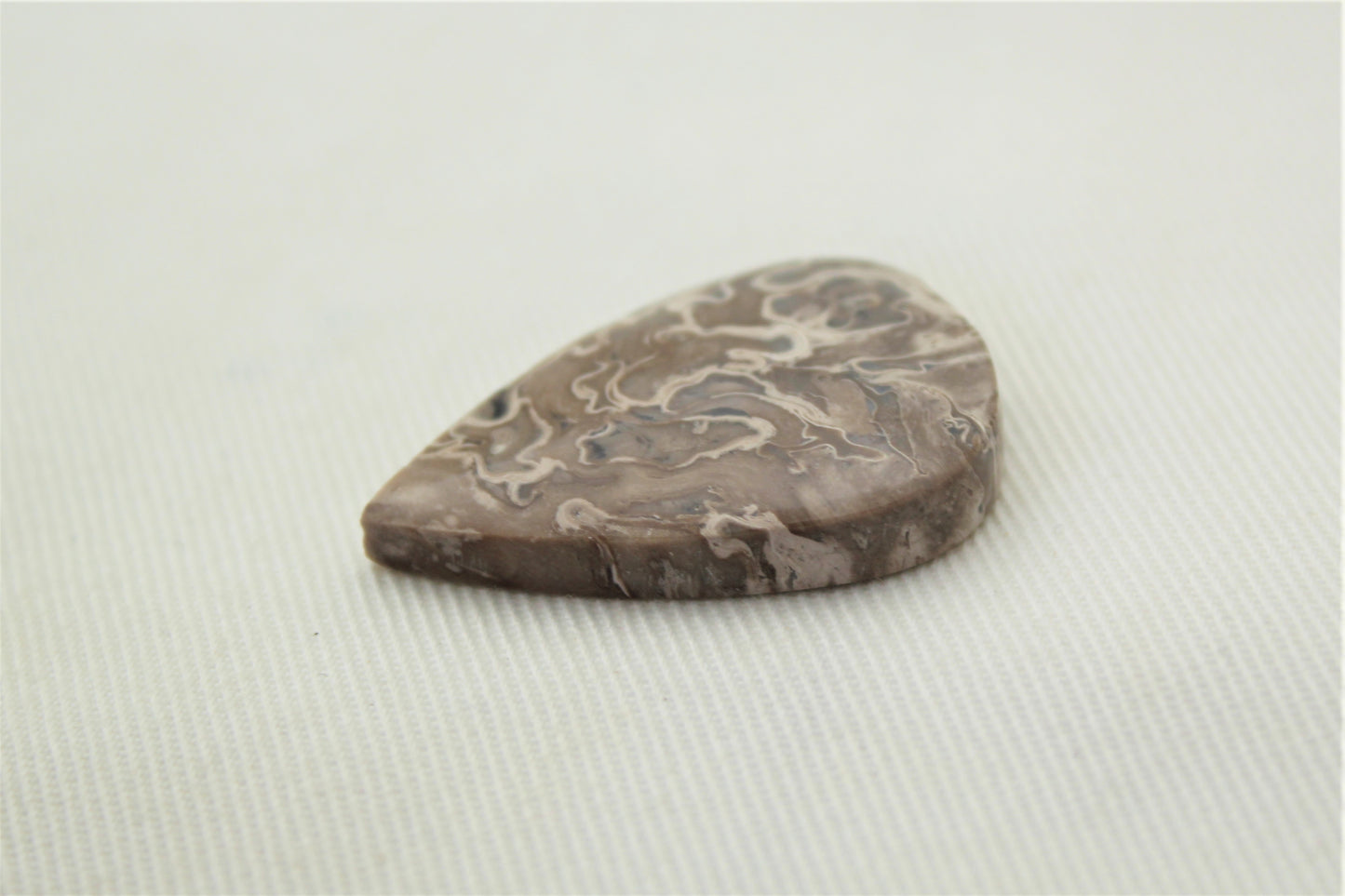 One Petrified Palm wood Cabochon Moon teardrop