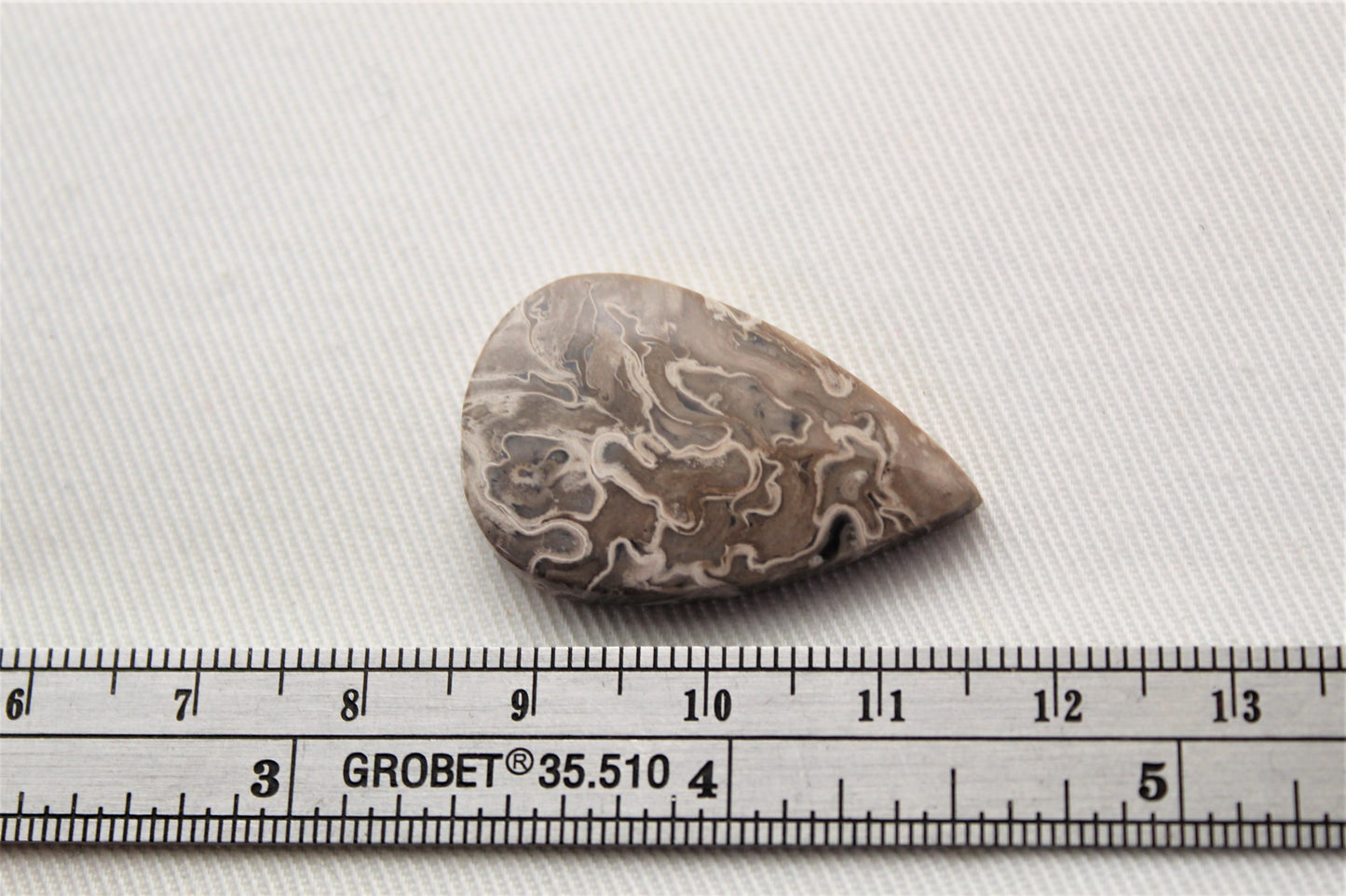 One Petrified Palm wood Cabochon Moon teardrop