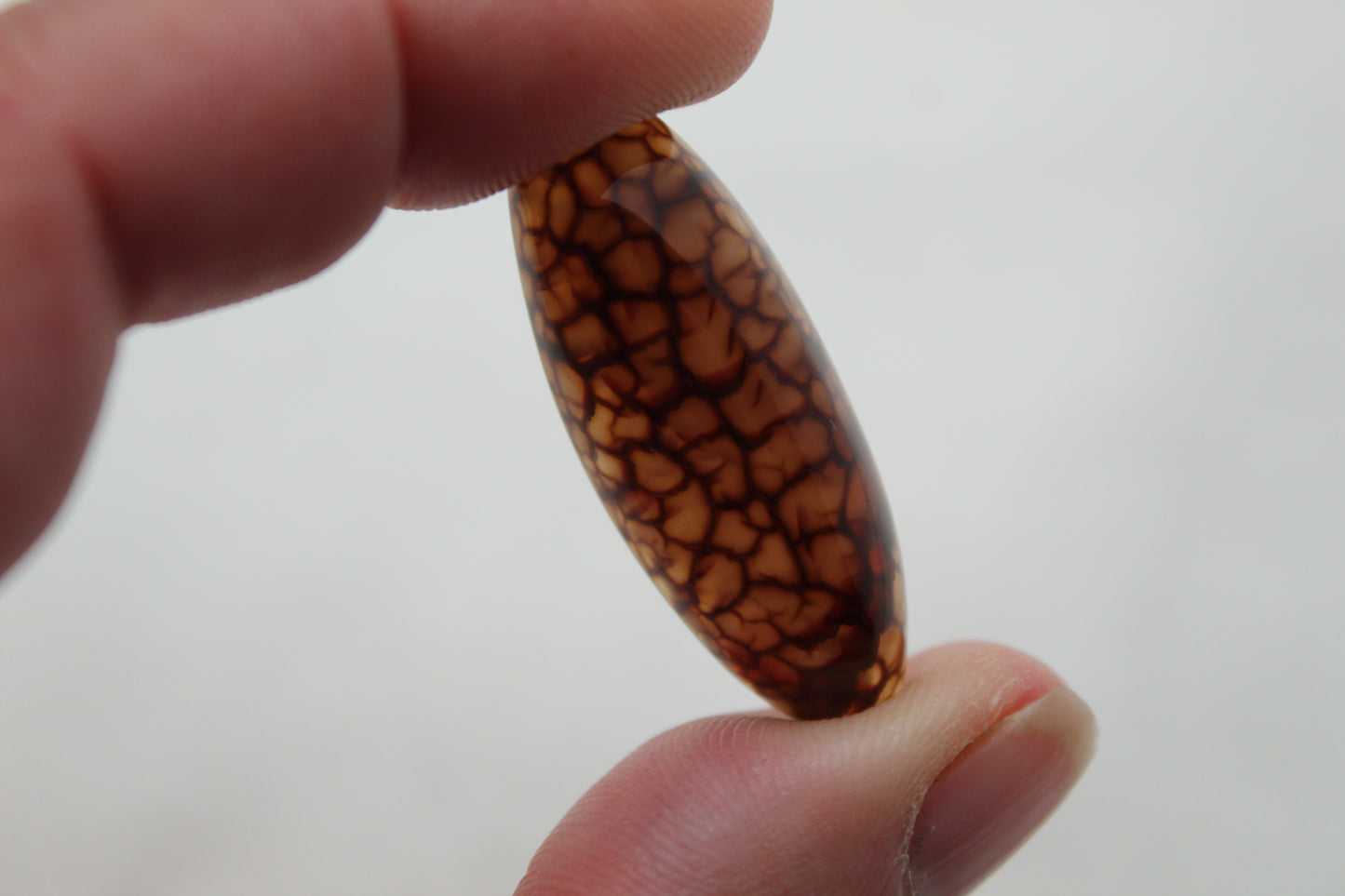 Dragon Vein agate Stone cabochon red