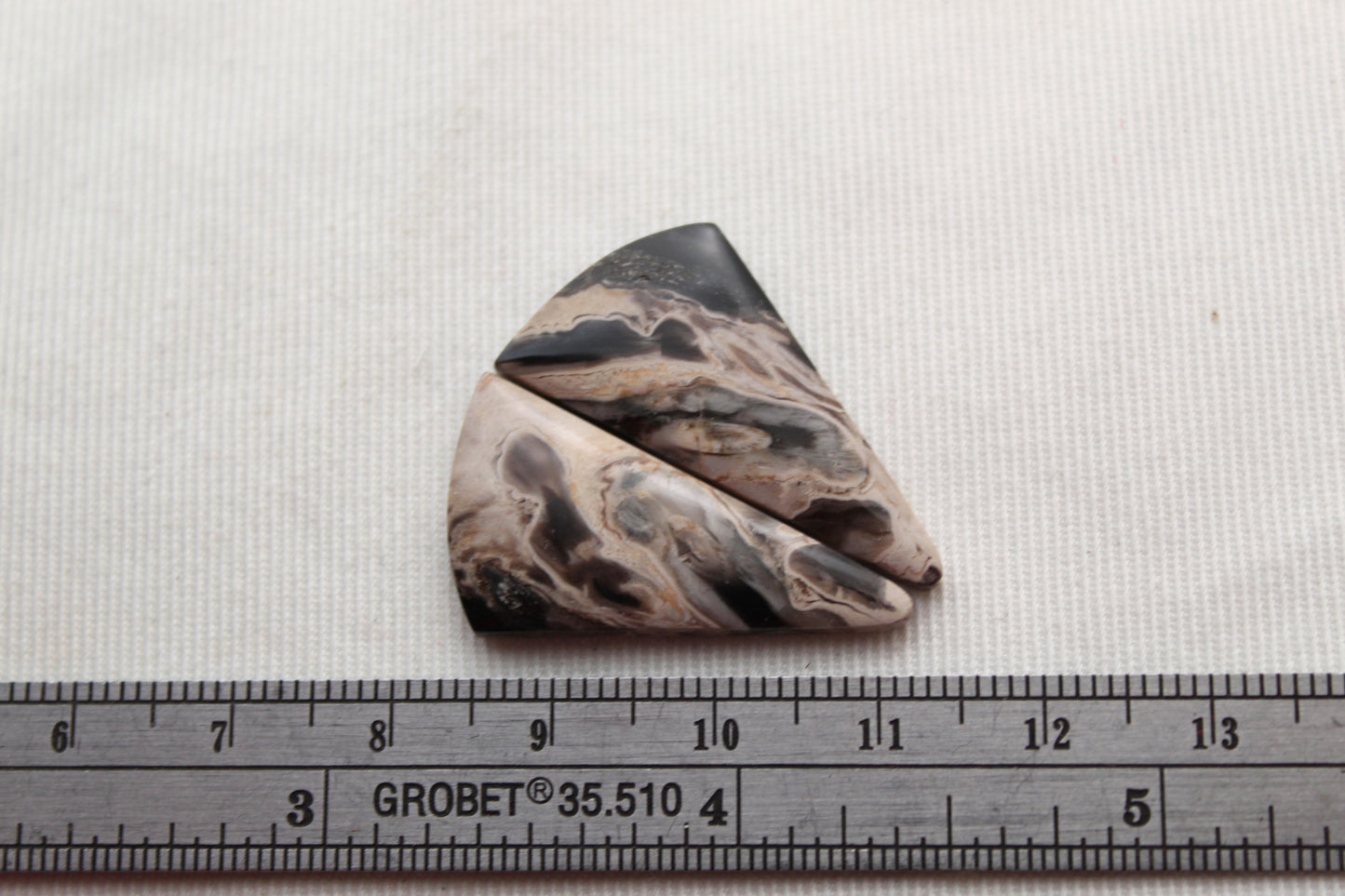 Petrified Palm Wood Cabochon Pair