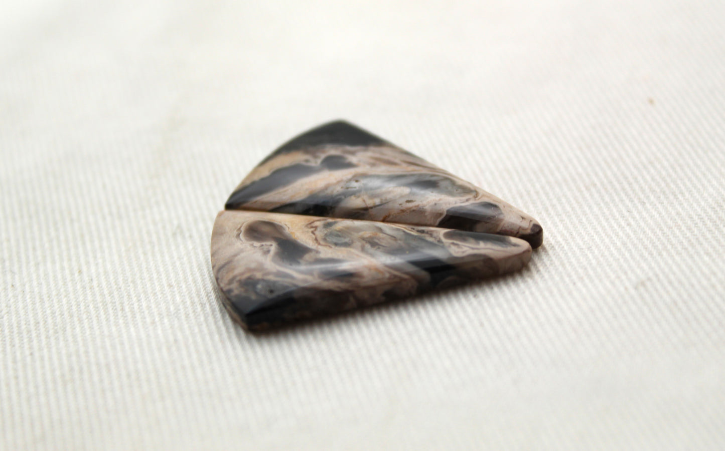 Petrified Palm Wood Cabochon Pair