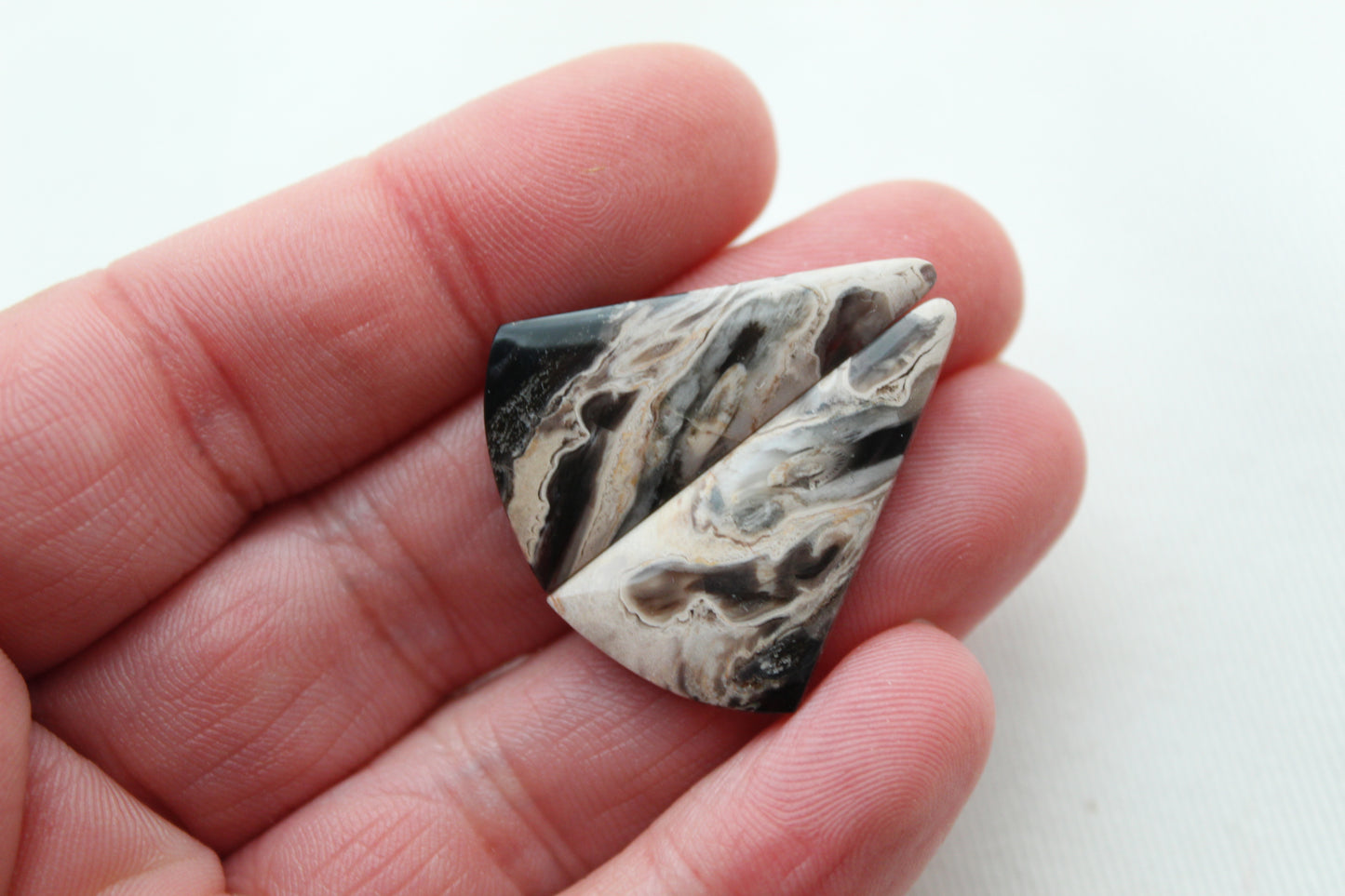 Petrified Palm Wood Cabochon Pair