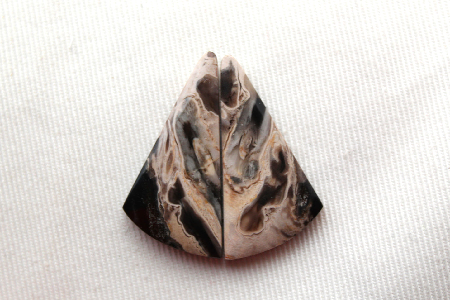 Petrified Palm Wood Cabochon Pair