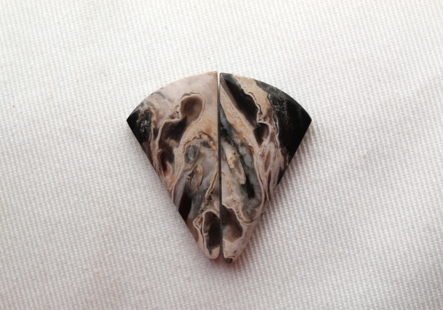 Petrified Palm Wood Cabochon Pair