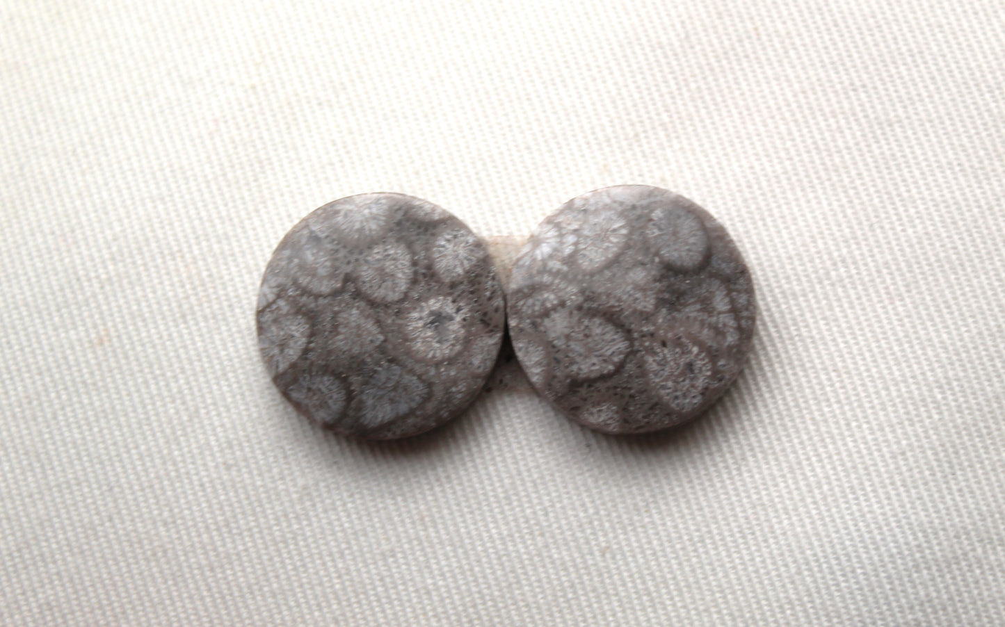 Paire de cabochons ronds corail fossile gris 19 MM