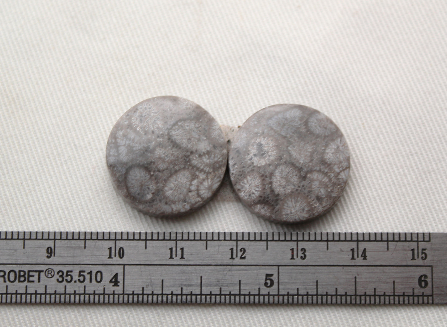 Paire de cabochons ronds corail fossile gris 19 MM