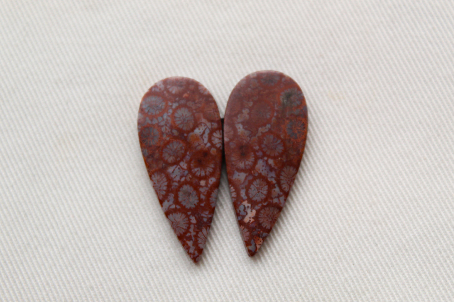 Fossilized Coral Pair of Gemstones cabochon beige natural