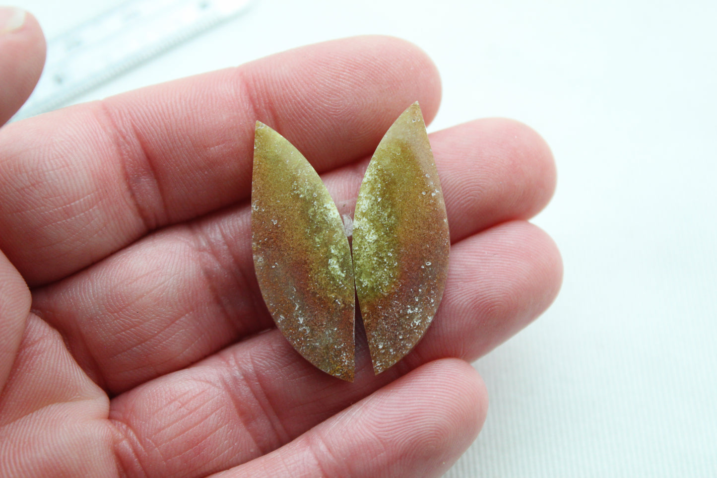 Opalized Petrified Wood Cabochon Pair  green gemstone