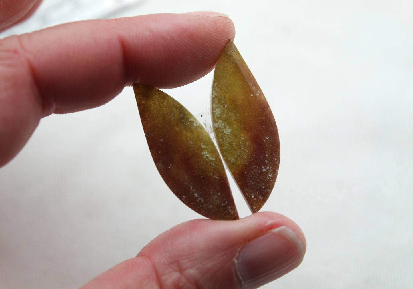 Opalized Petrified Wood Cabochon Pair  green gemstone