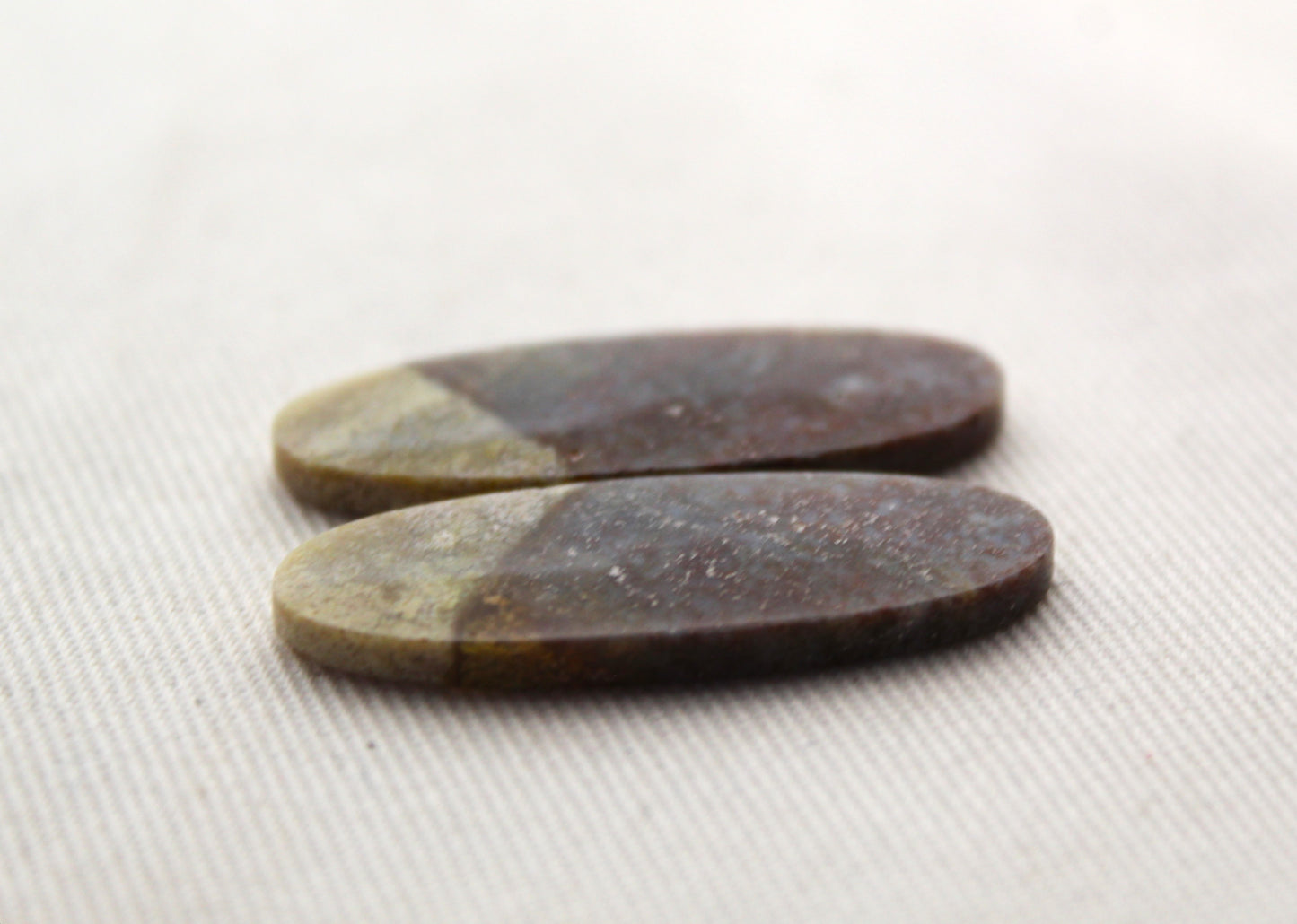 Thin Pair of Petrified Wood Cabochons