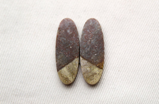 Thin Pair of Petrified Wood Cabochons