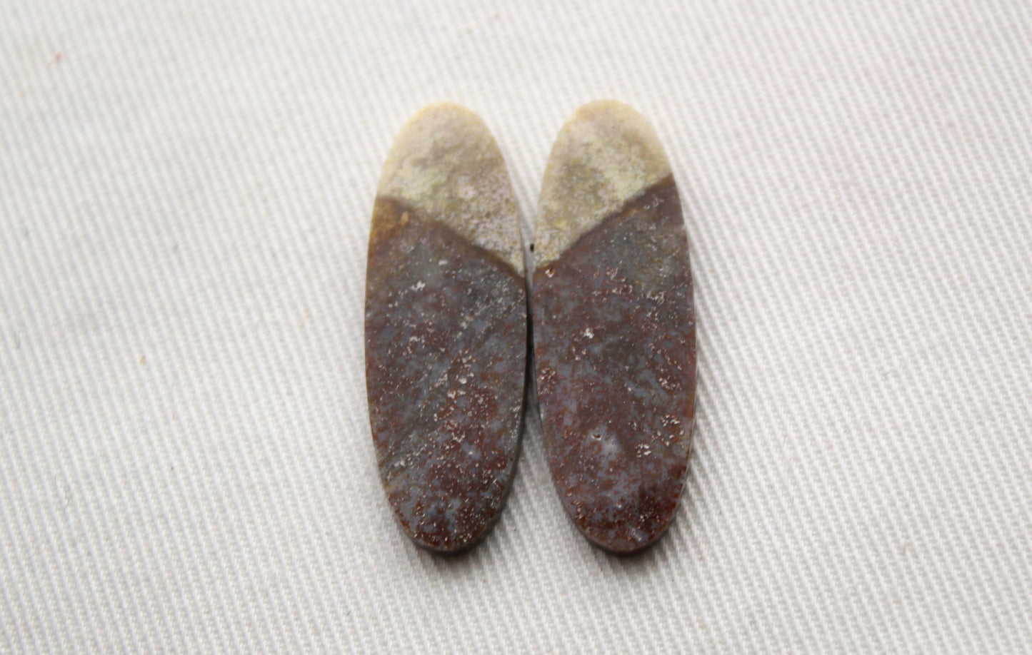 Thin Pair of Petrified Wood Cabochons