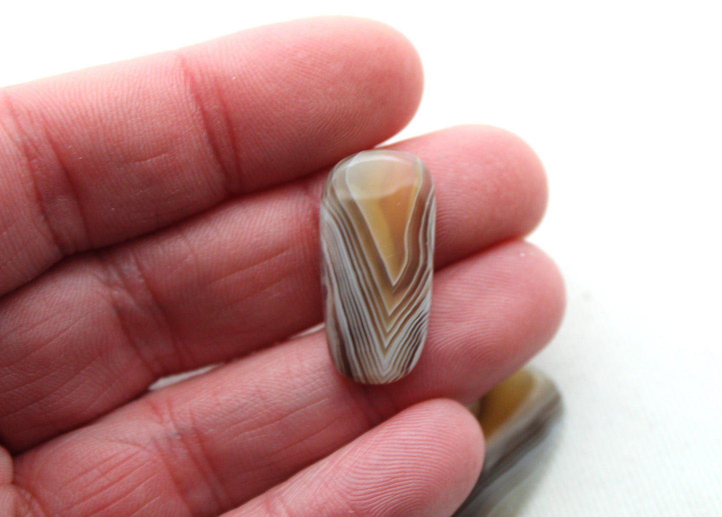 Botswana Agate Pair cabochon Gemstone beige