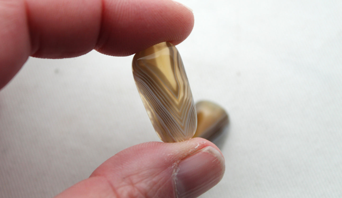 Botswana Agate Pair cabochon Gemstone beige