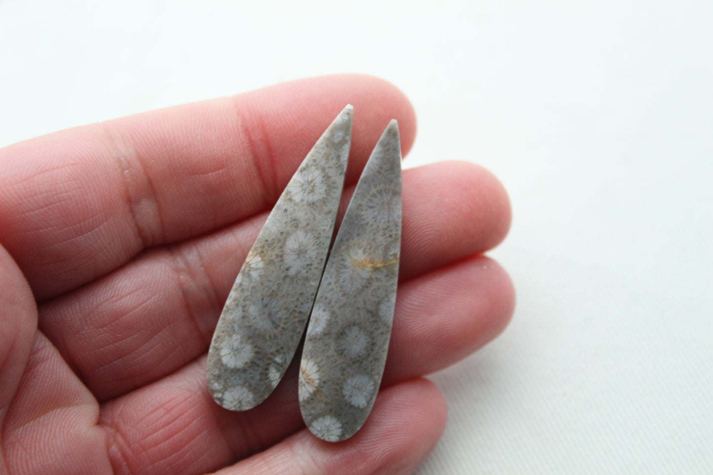 Fossilized Coral Pair of Gemstones cabochon gray beige natural