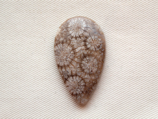 Cabochon en forme de larme de pierre gemme de corail fossilisé