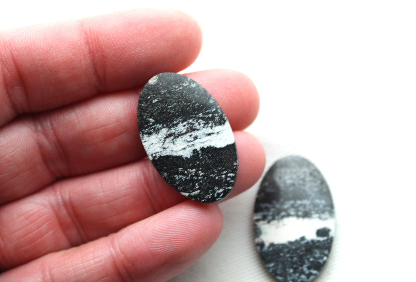 Pair of Petrified Wood Cabochons Oval