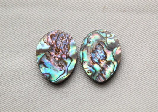 <tc>Deux pièces d'Abalone coussin rectangle doublet</tc>