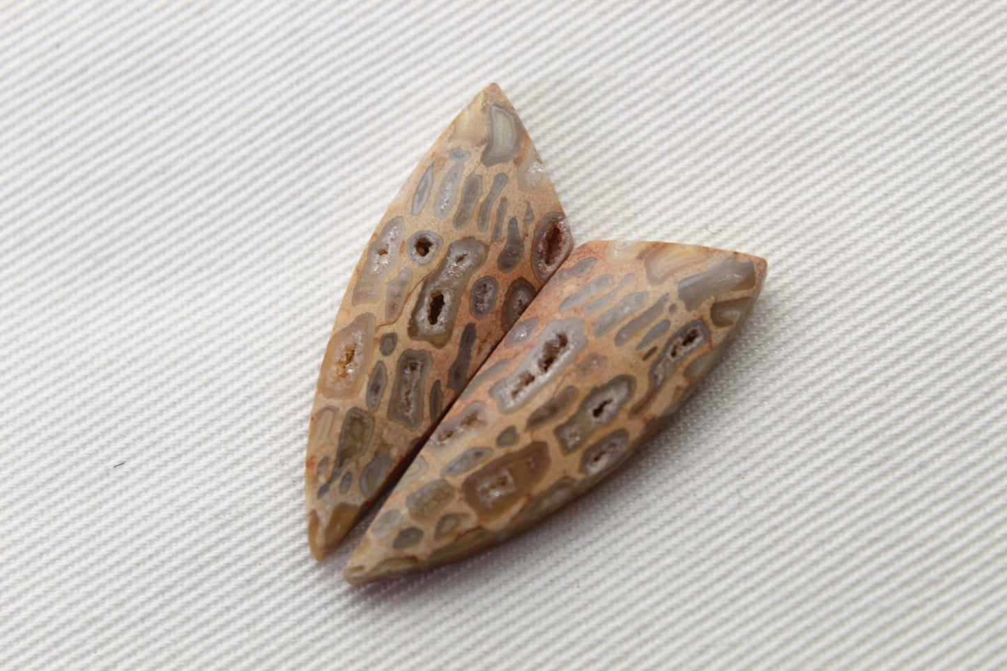 Fossil Palmwood Pair Cabochon Gemstone with druzy pockets