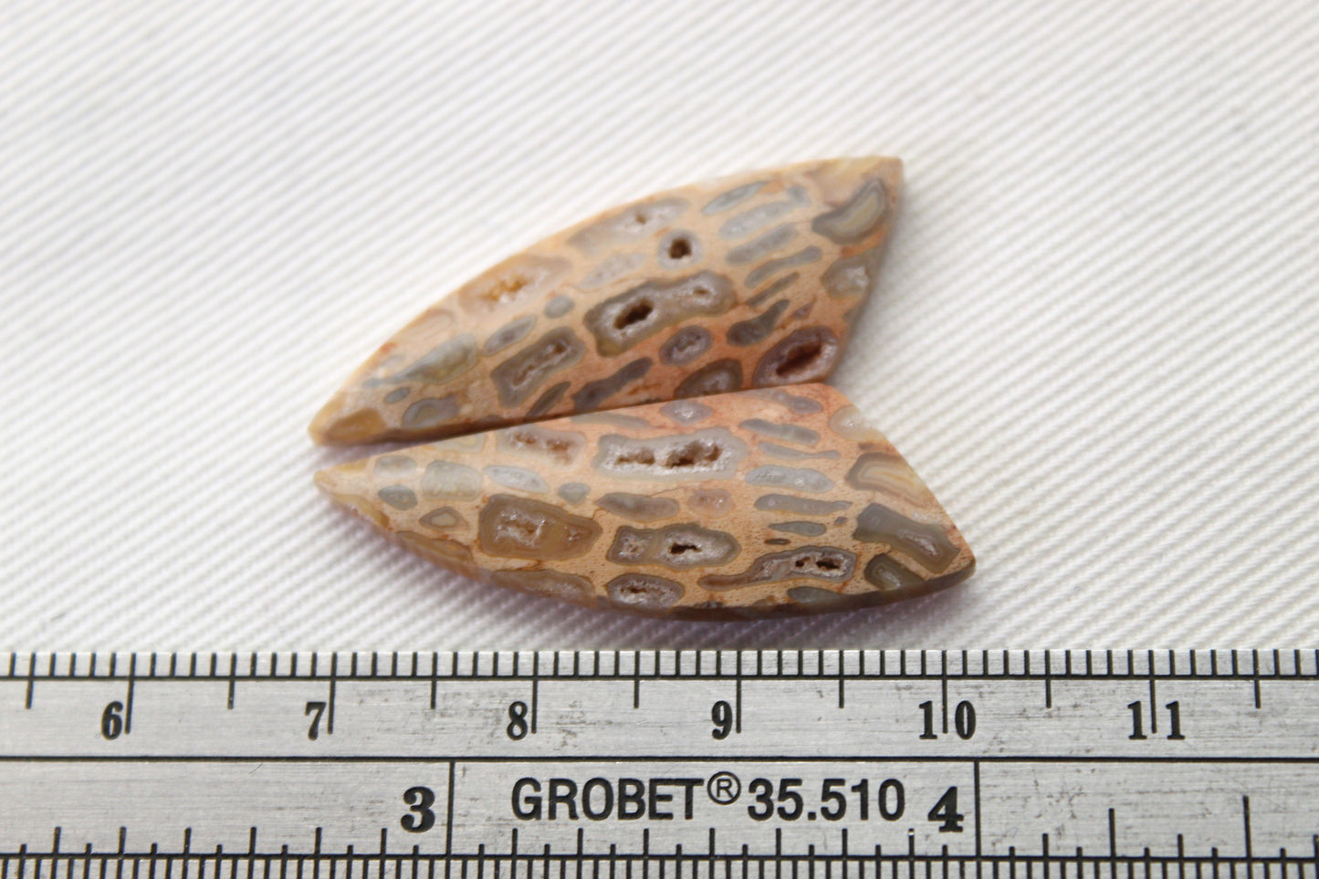 Fossil Palmwood Pair Cabochon Gemstone with druzy pockets