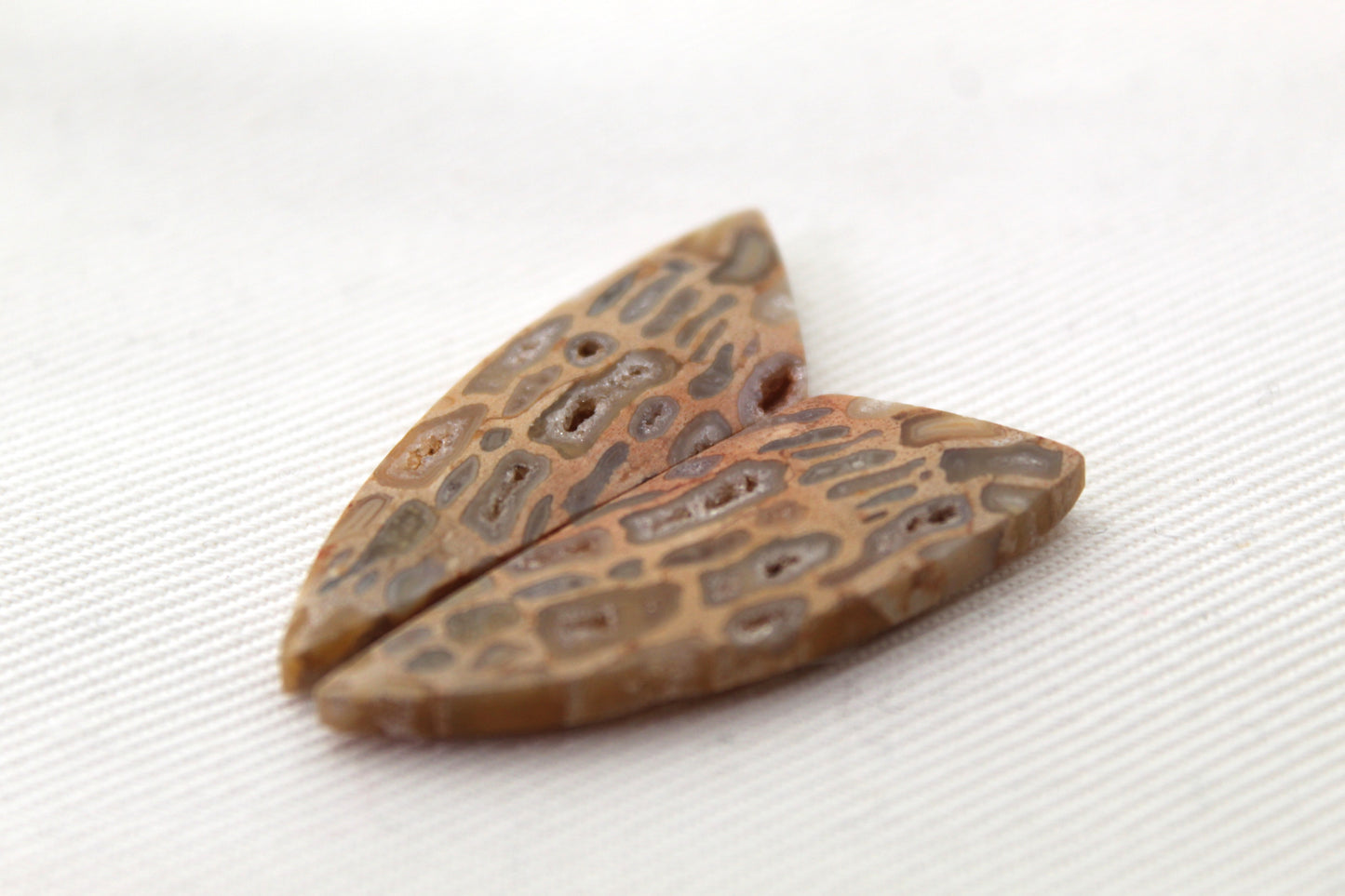 Fossil Palmwood Pair Cabochon Gemstone with druzy pockets