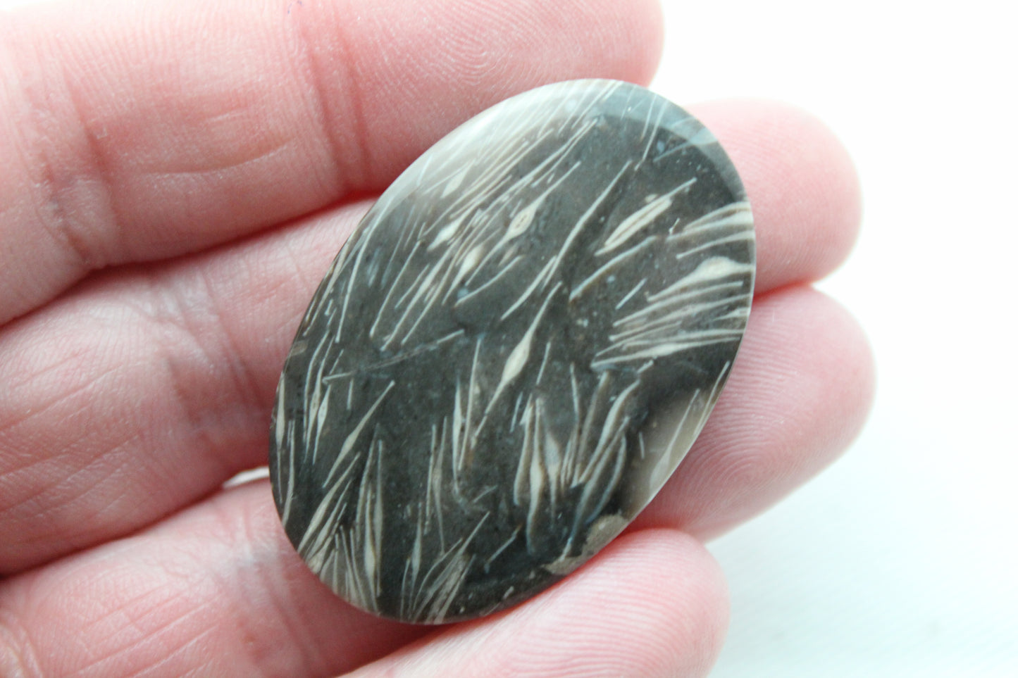 Feather Agate Cabochon Gemstone Oval