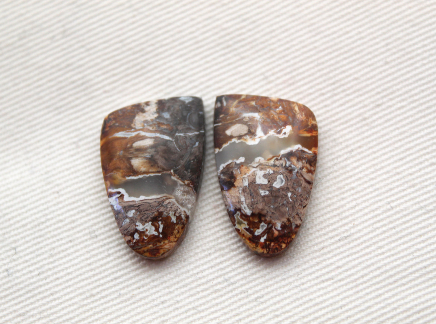 Small Petrified Palm Wood Cabochon Pair