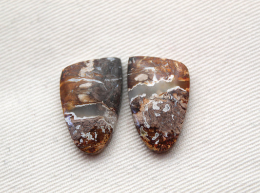 Small Petrified Palm Wood Cabochon Pair