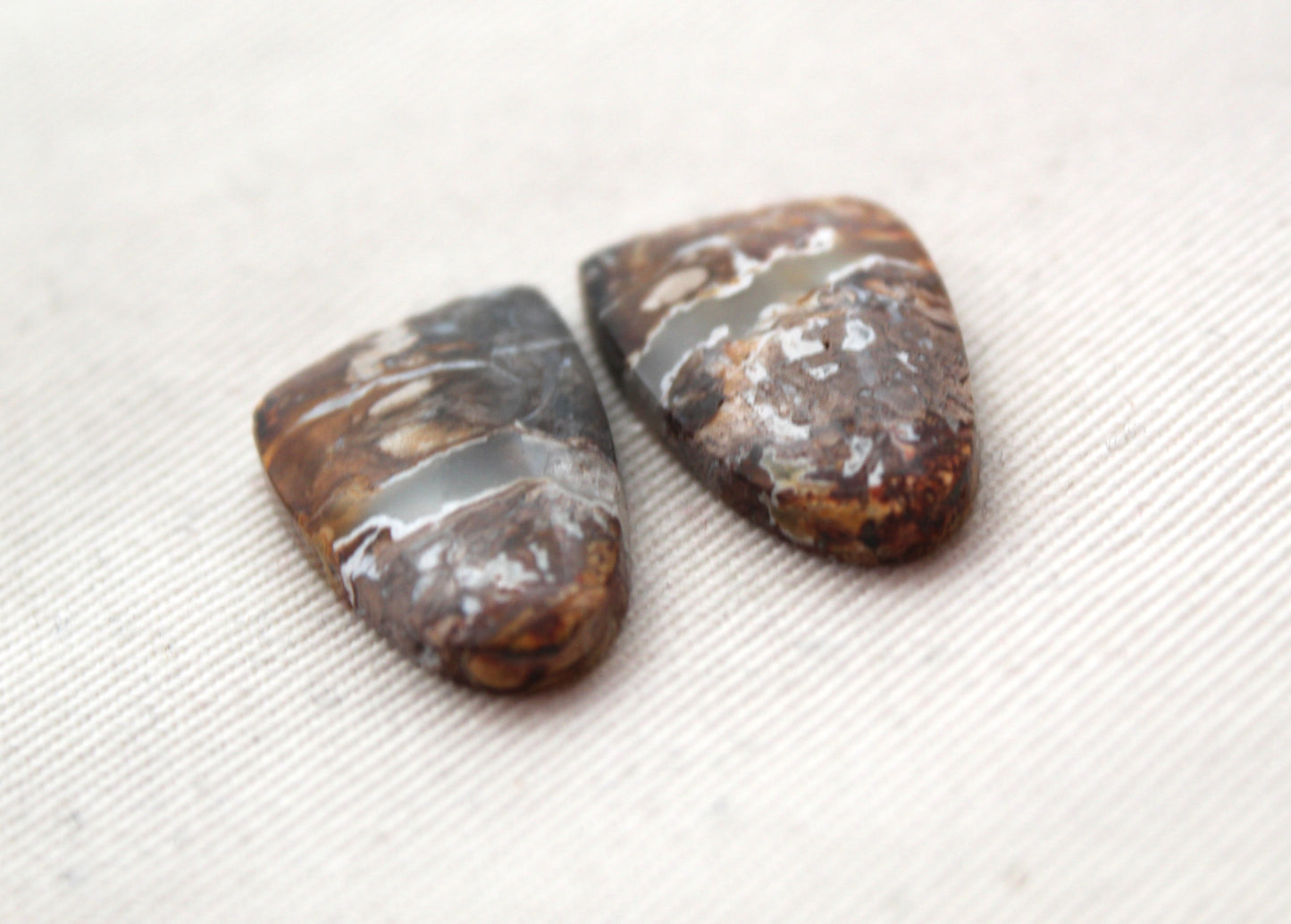 Small Petrified Palm Wood Cabochon Pair