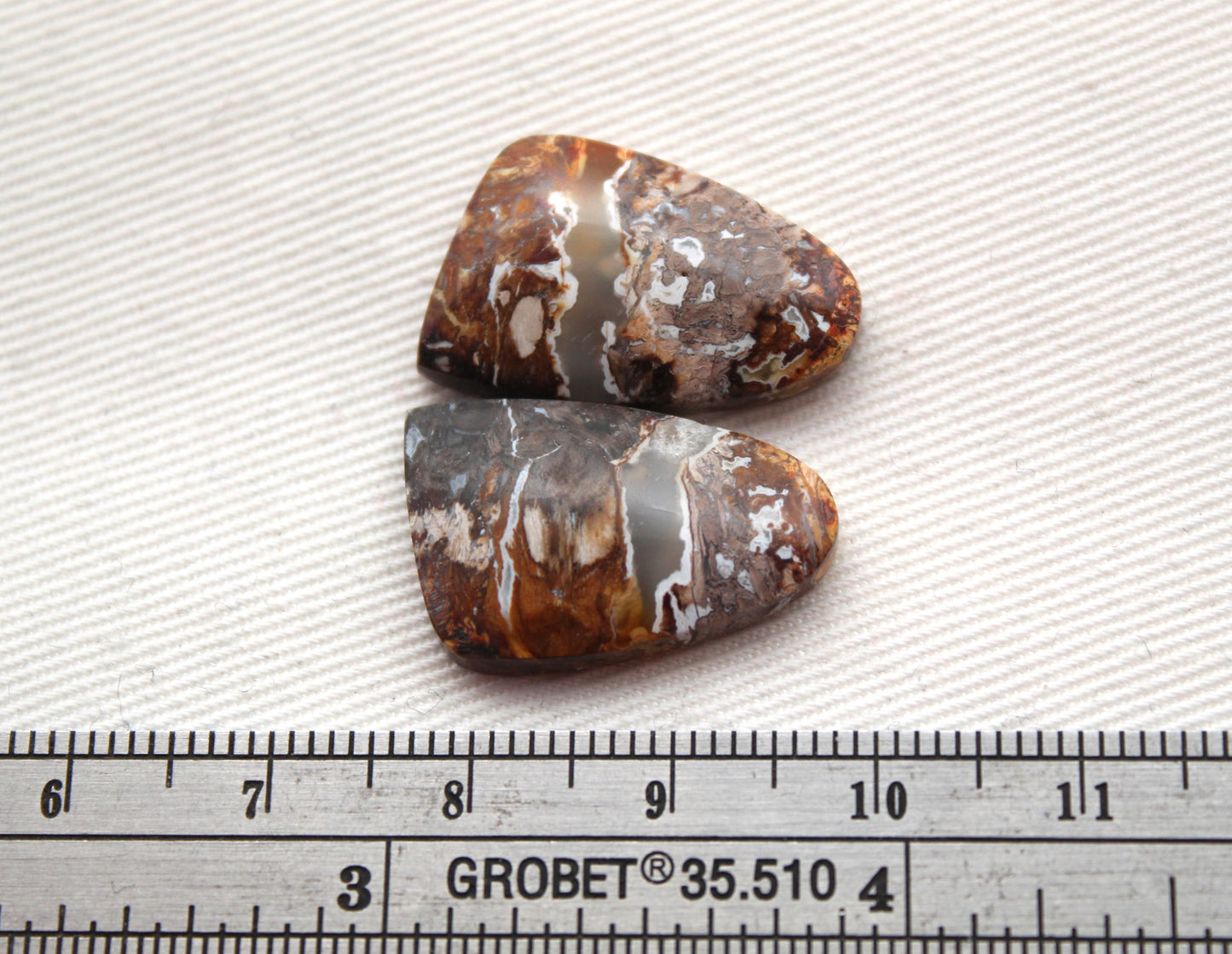 Small Petrified Palm Wood Cabochon Pair