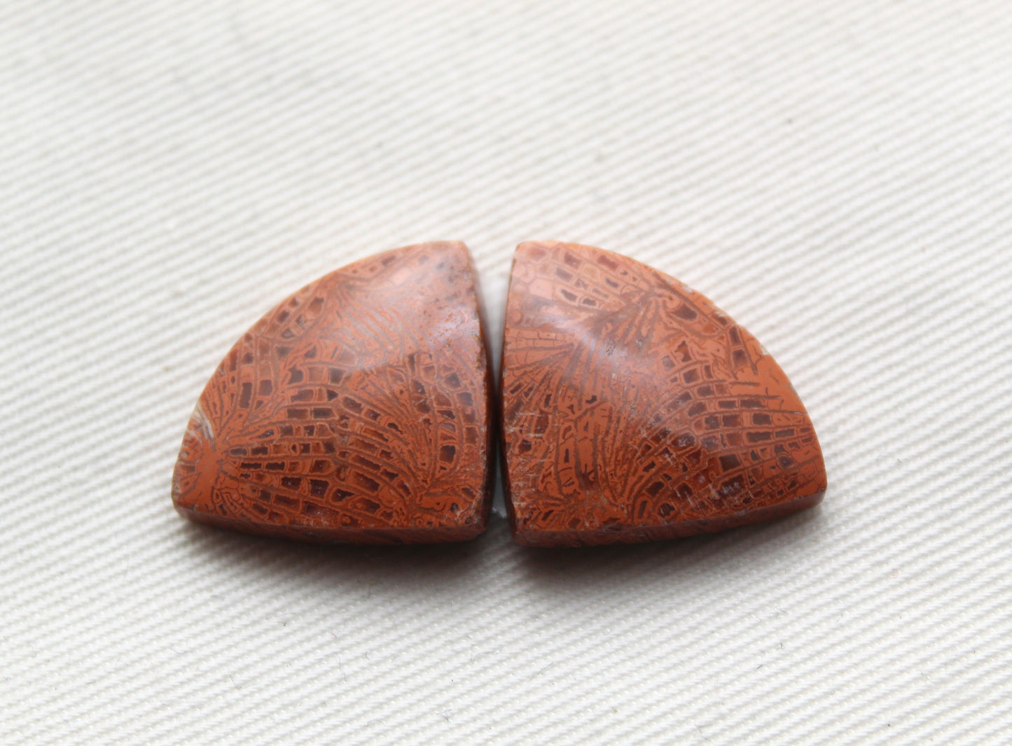 Pink Fossil Coral Pair of Gemstones cabochon triangle