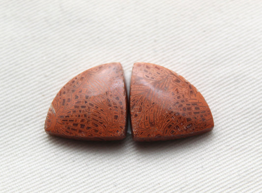 Pink Fossil Coral Pair of Gemstones cabochon triangle