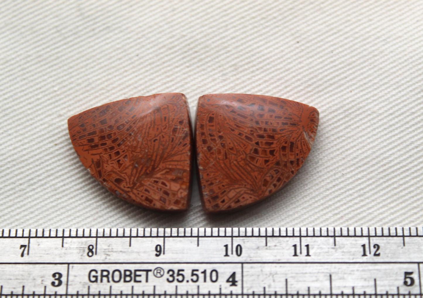 Pink Fossil Coral Pair of Gemstones cabochon triangle