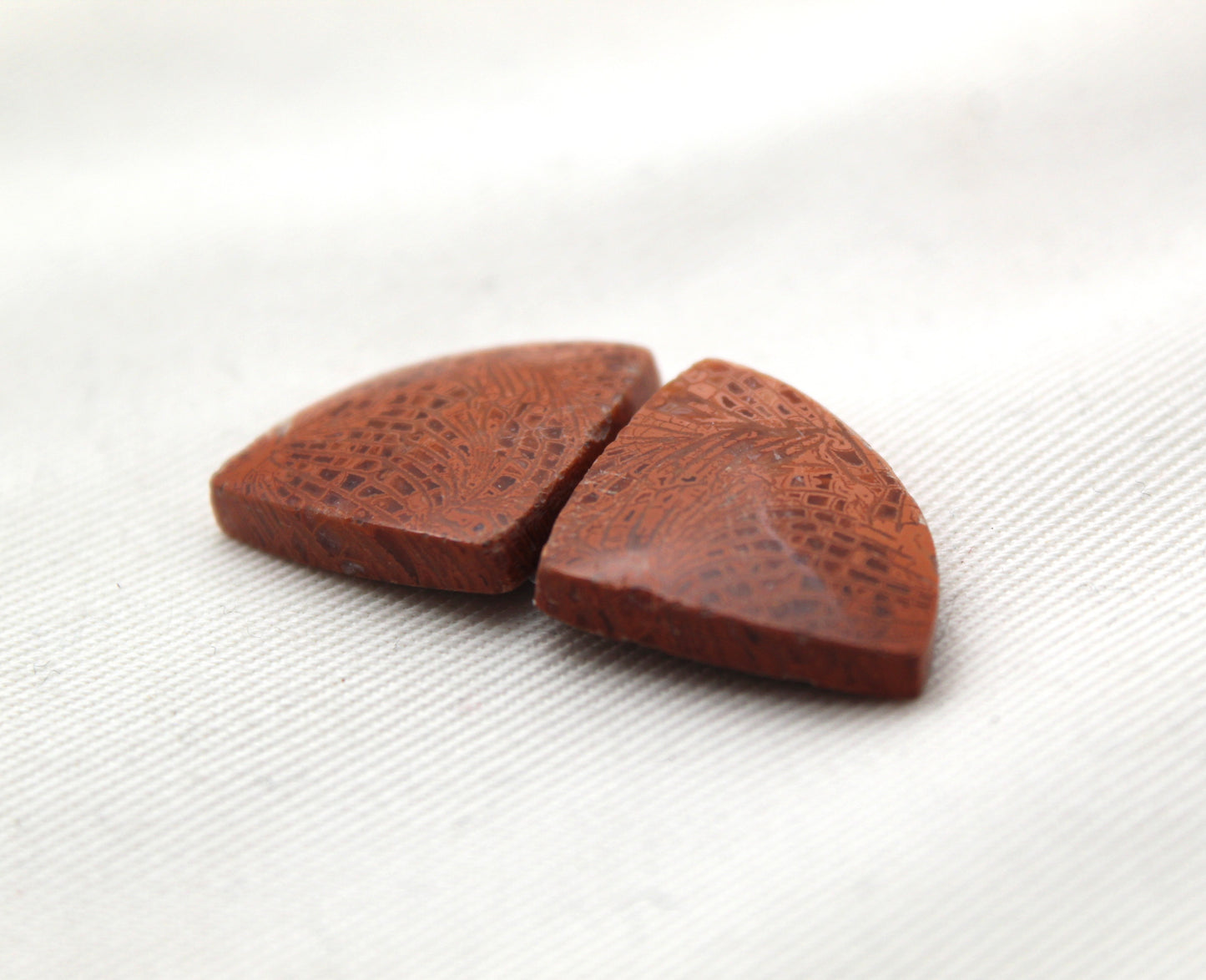 Pink Fossil Coral Pair of Gemstones cabochon triangle