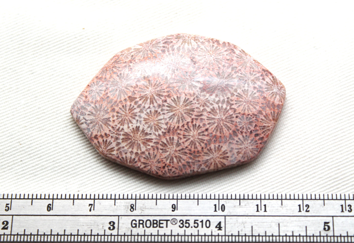 Cabochon en forme de larme de pierre gemme de corail fossilisé