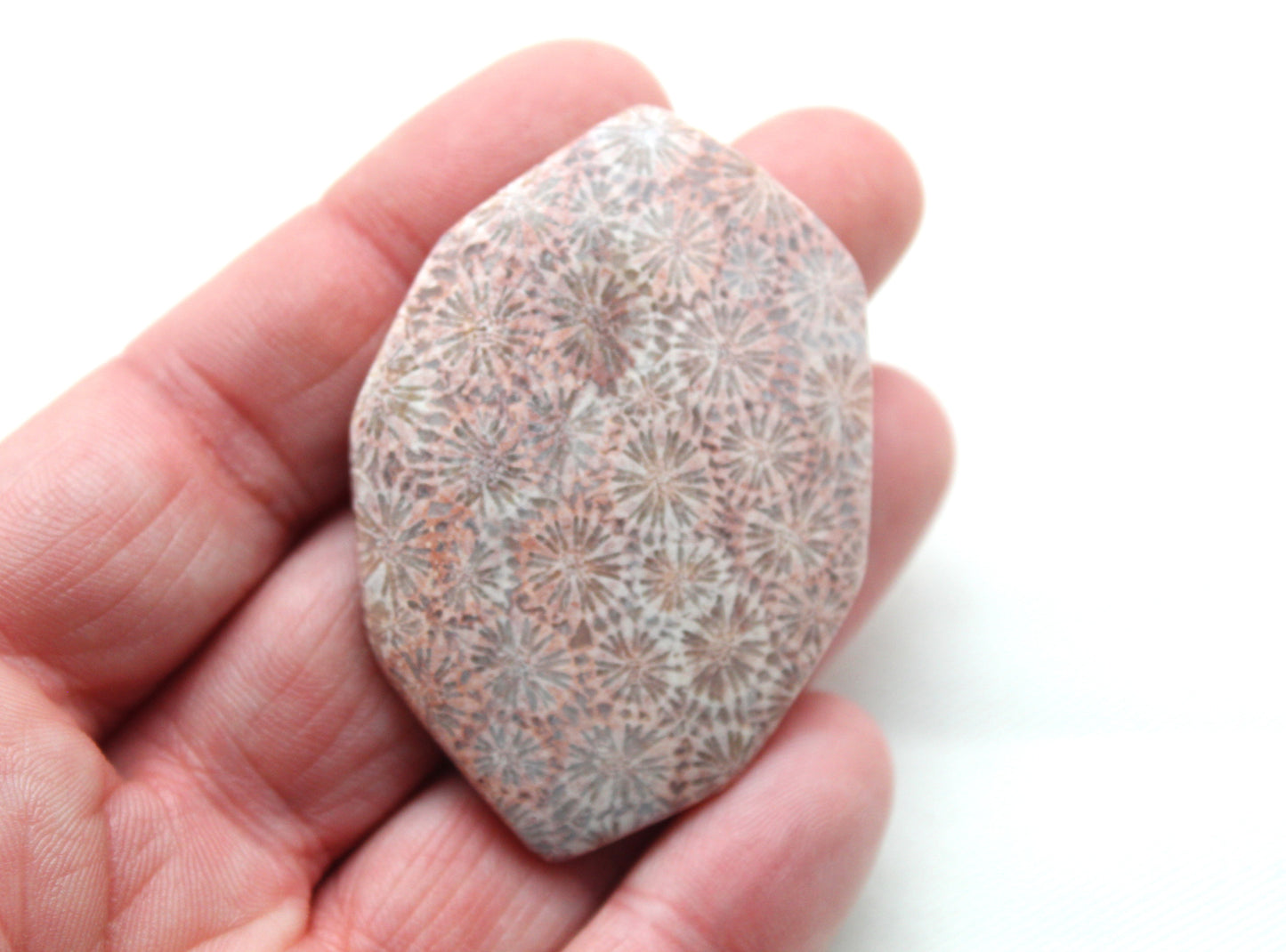 Cabochon en forme de larme de pierre gemme de corail fossilisé