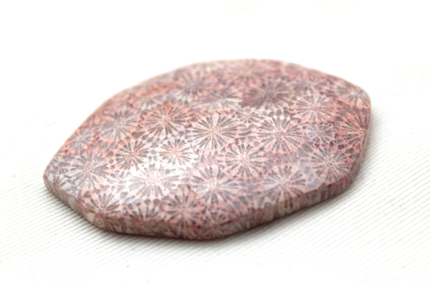 Cabochon en forme de larme de pierre gemme de corail fossilisé