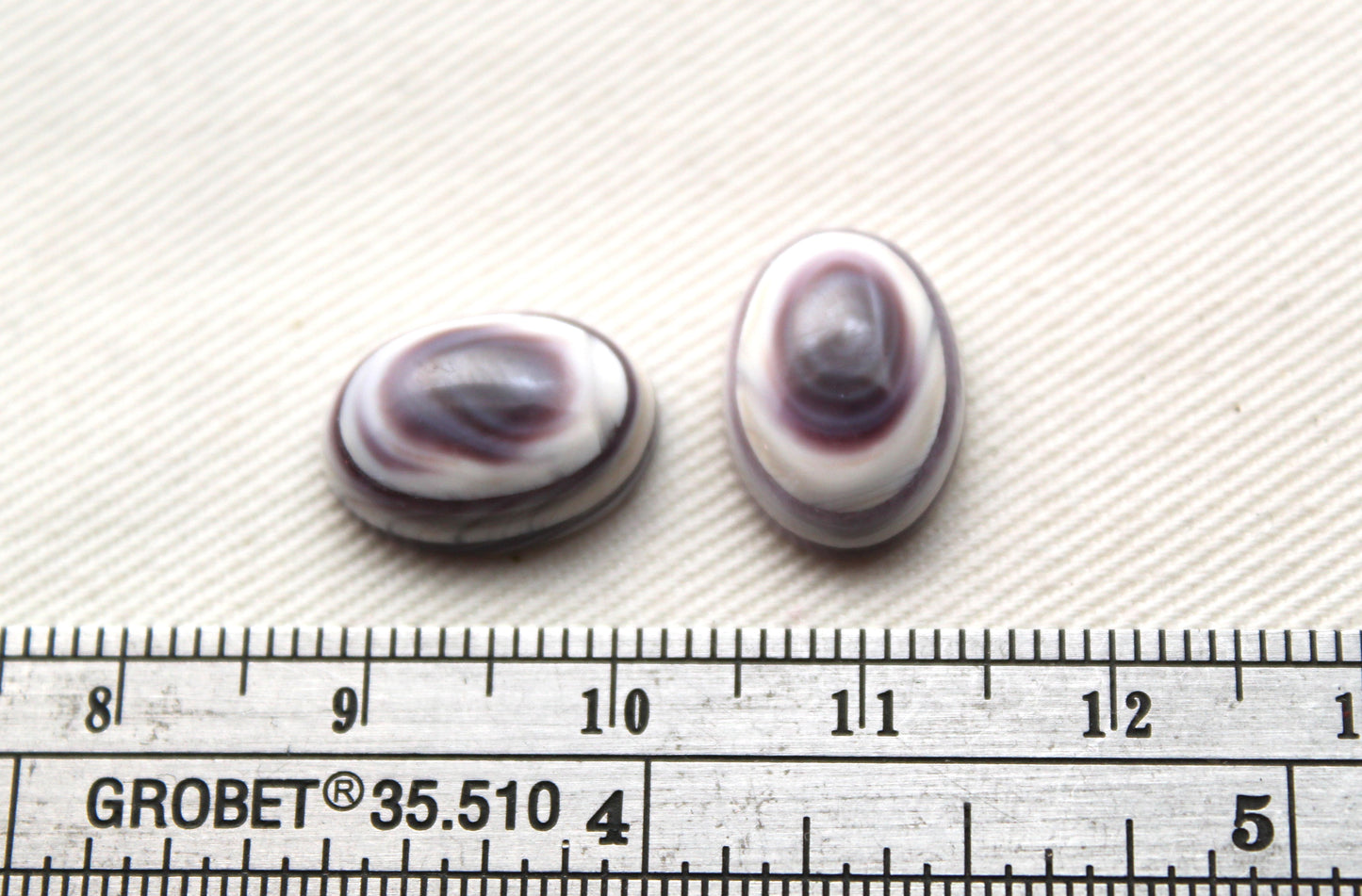 TWO Wampum Quahog Shell Oval 10x14MM