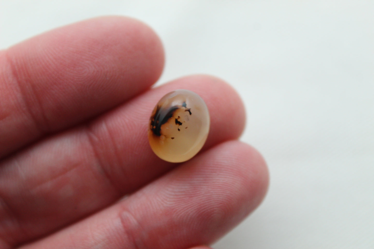 TWO Montana Agate Cabochon Oval gemstone 10X12MM